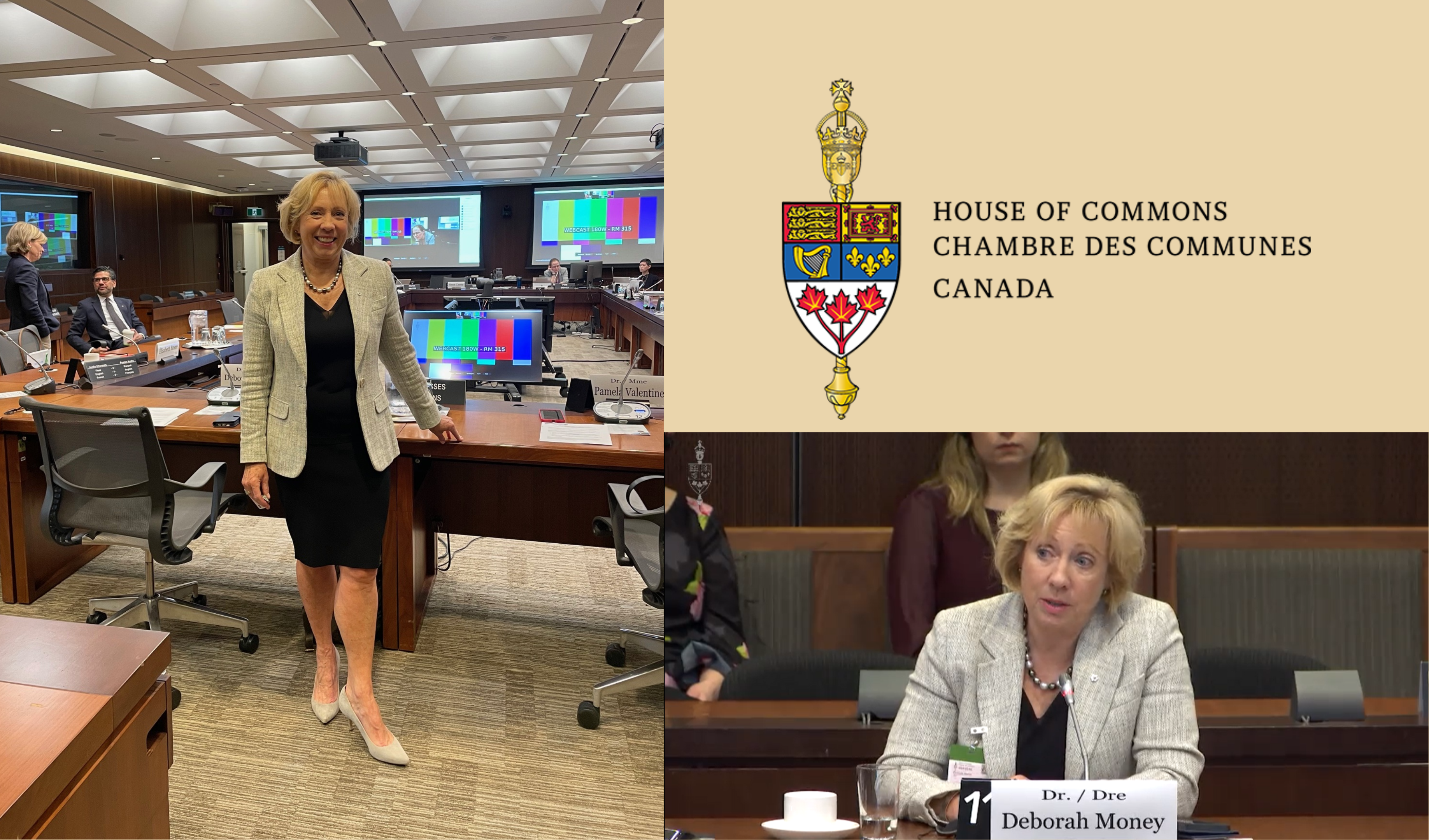 Dr. Deborah Money Presented and Participated in a Q&A Session during Women’s Health-Focused Meeting of the Canadian House of Commons Standing Committee on Health!
